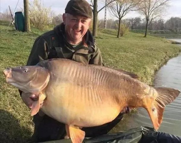 鲤鱼的寿命一般是多少年