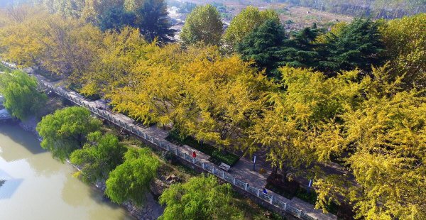 广陵指今江苏省什么市