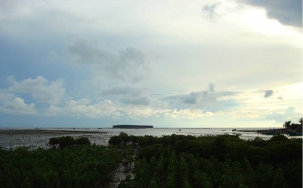 广东省徐闻县属于哪个市管辖