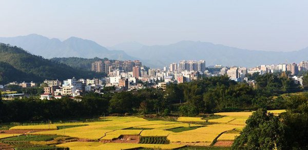 广东省连平县属于哪个市