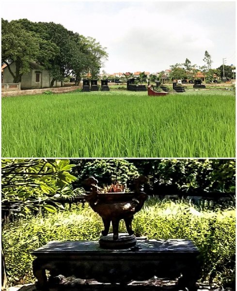 士燮是中国人还是越南人