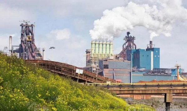 张天福的人生创业经历