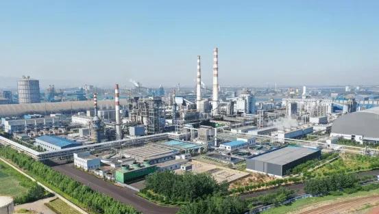 张天福的人生创业经历