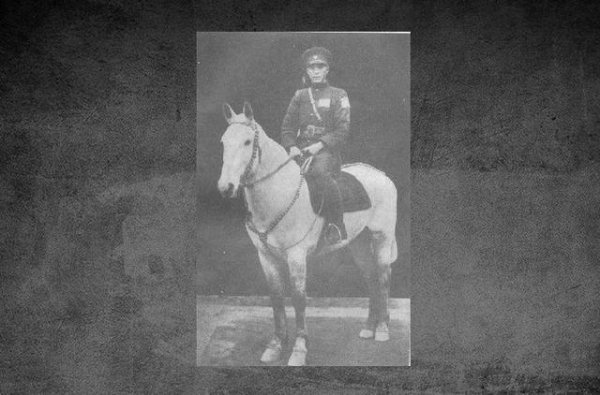 西北五马之马仲英个人简介