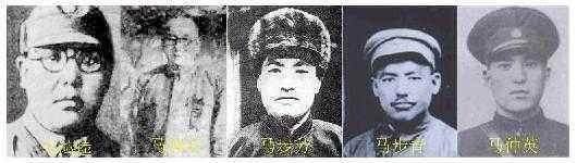 西北五马之马仲英个人简介