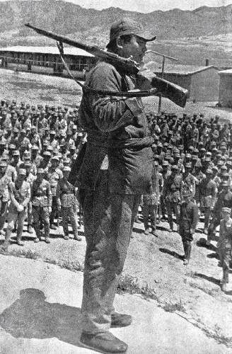 西北五马之马仲英个人简介