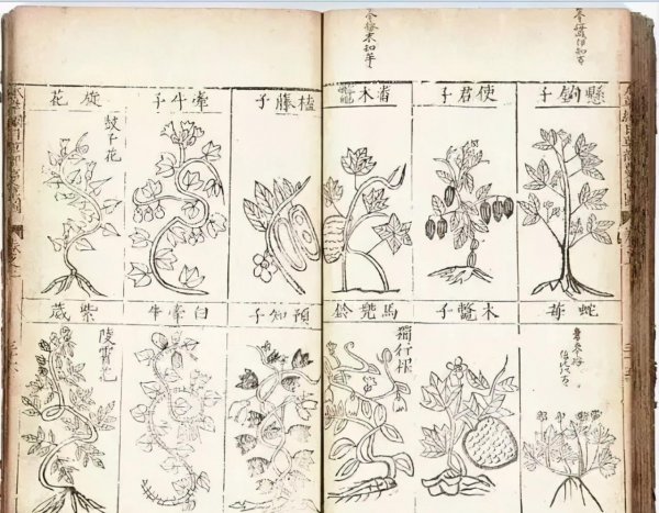 苏颂发明了什么天文钟仪器