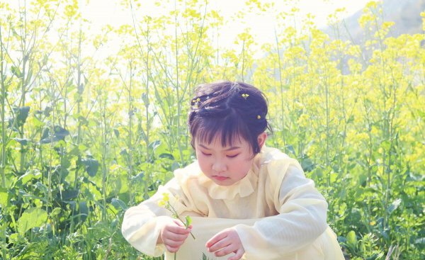 杨万里号什么字什么