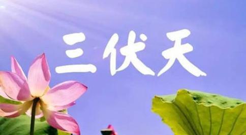 夏至三庚数头伏是什么意思