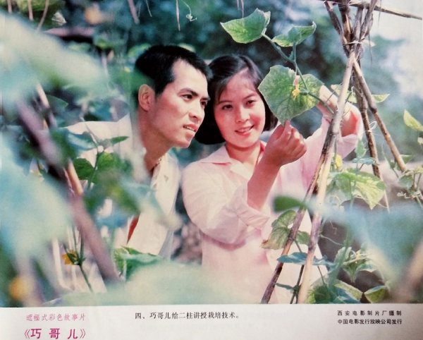何晴与廖京生的关系