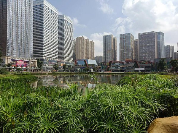 亚洲第一大楼盘是哪里
