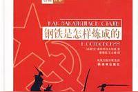 钢铁是怎样炼成的每章内容概括
