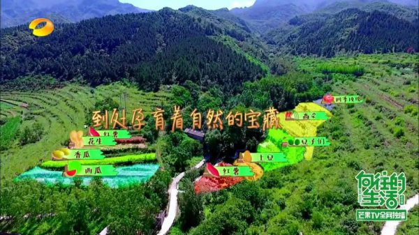 向往的生活在哪里拍摄的