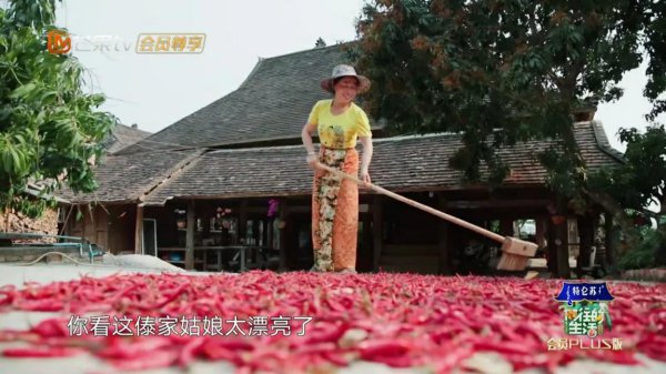 向往的生活在哪里拍摄的
