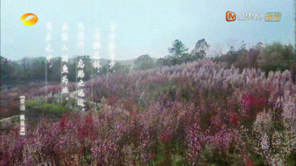 向往的生活在哪里拍摄的