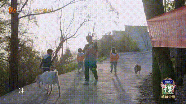 向往的生活在哪里拍摄的