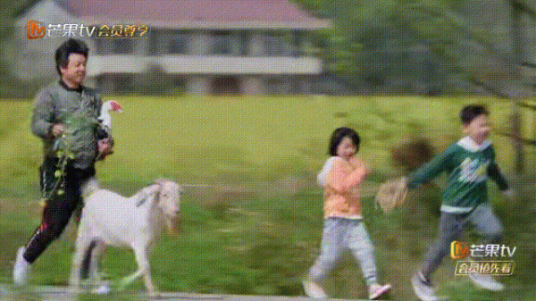 向往的生活在哪里拍摄的