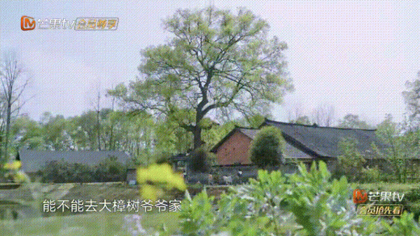 向往的生活在哪里拍摄的