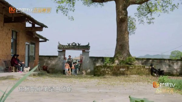 向往的生活在哪里拍摄的
