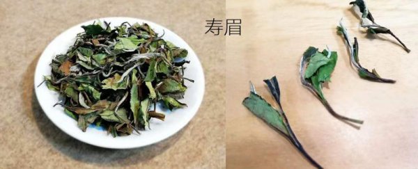 福鼎白茶是属于什么茶类