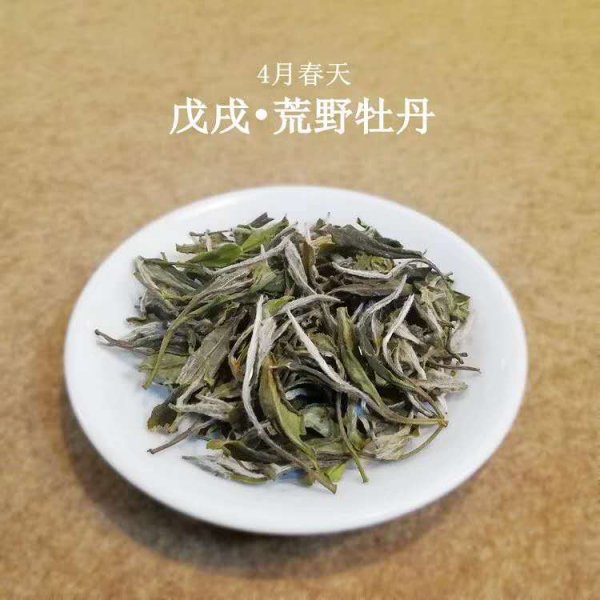 福鼎白茶是属于什么茶类
