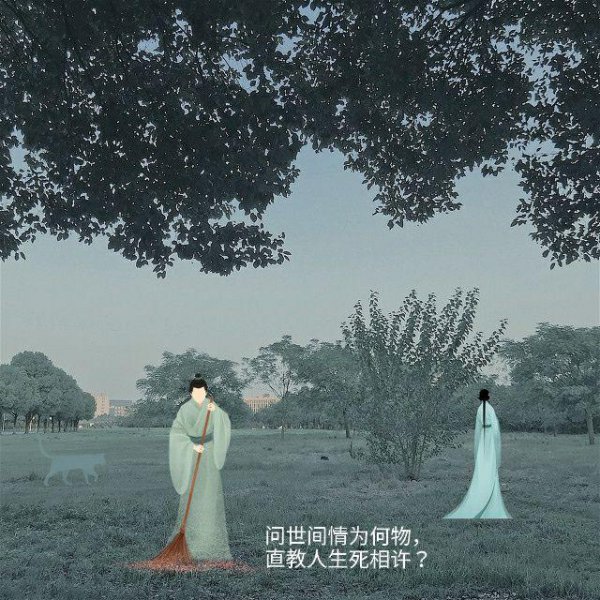问世间情为何物直教人生死相许的意思