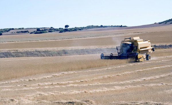 秋怕雷是什么意思