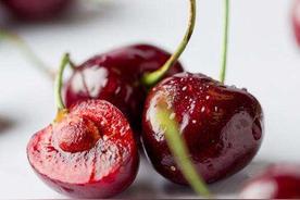 skeena车厘子是什么品种