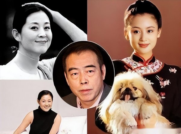 倪萍简历及个人资料简介