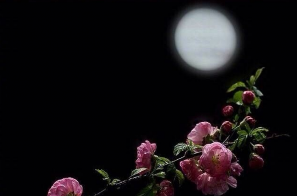 春有百花冬有雪完整全诗作者是和尚吗