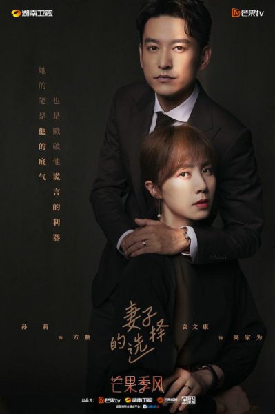 黄磊老婆演的电视剧叫什么名字