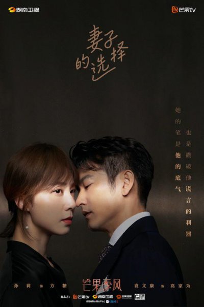 黄磊老婆演的电视剧叫什么名字