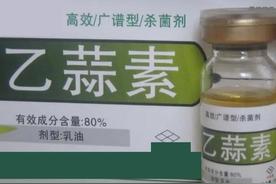 乙蒜素的作用和用途