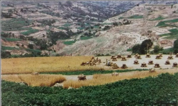 甘肃少数民族有哪些