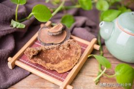 如何鉴别真假桑黄黄的方法