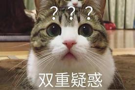 人生无常大肠包小肠出处及意思理解