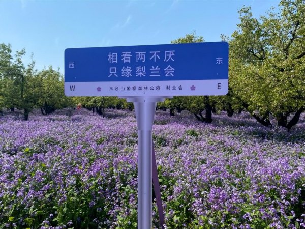 江苏宿迁旅游攻略必玩的景点推荐