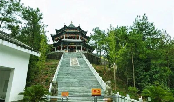 金东区属于哪个市