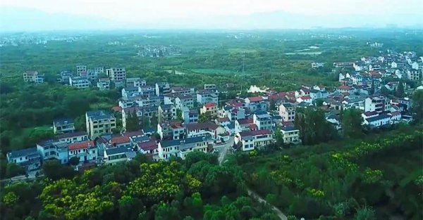 金东区属于哪个市