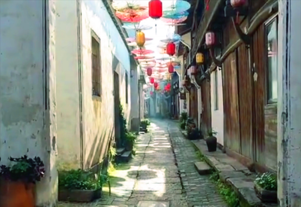 金东区属于哪个市
