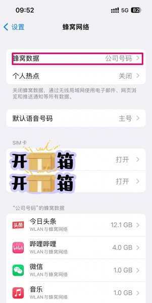 苹果手机没网络怎么解决
