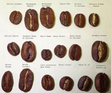 十大最好喝的咖啡豆品牌及产地介绍