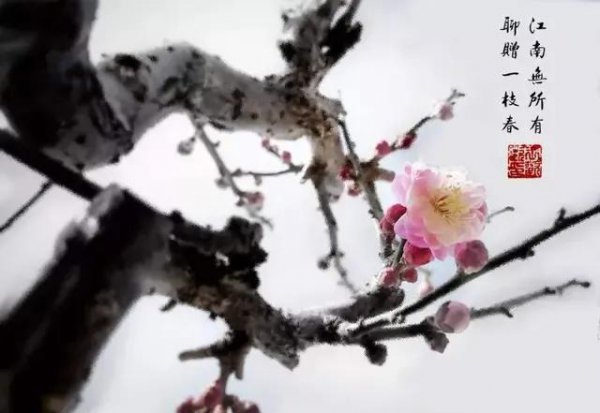 赤壁怀古苏轼原文及注释翻译