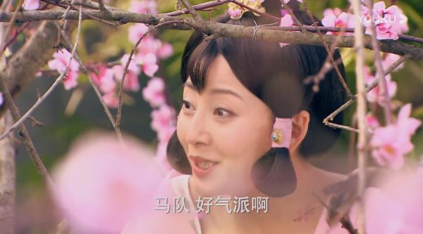 武媚娘名称的由来