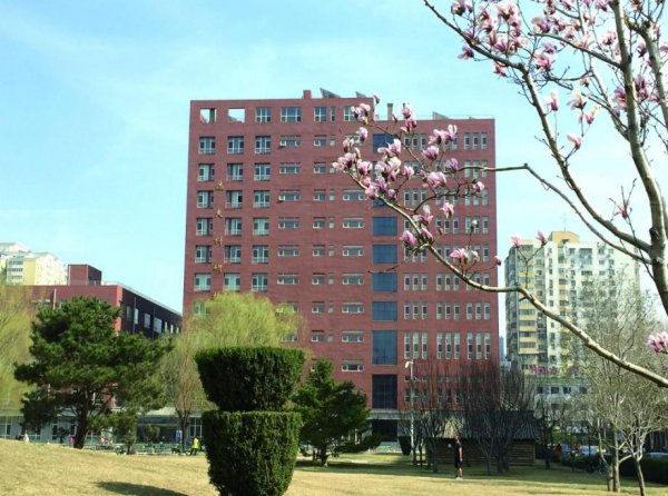 国家不承认学历的大学