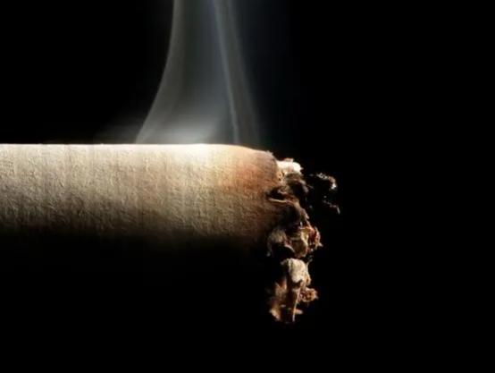 烟头可以做什么用途