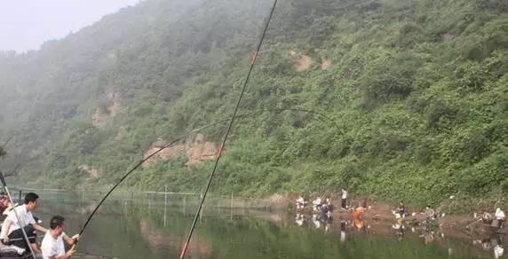 鱼竿28调和19调哪个更好一些