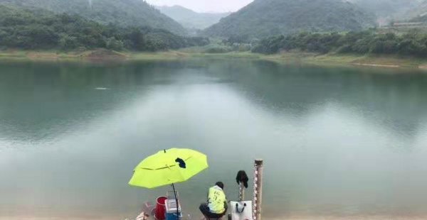 雨前钓鱼还是雨后钓鱼