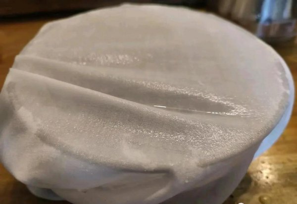 板蓝根是什么植物种类
