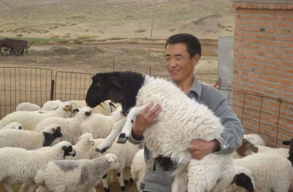 你认为养羊人是一个怎样的人